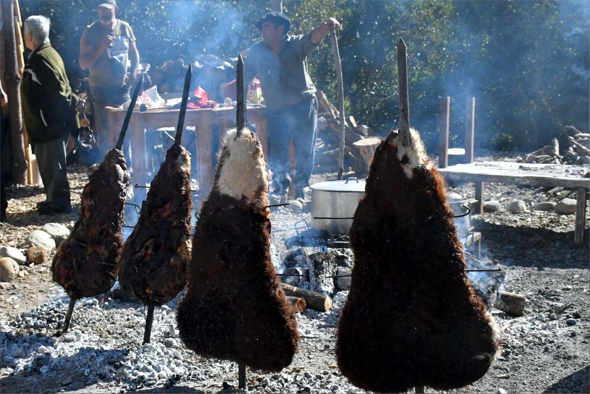 beefbbc3-d15d-4edd-8298-a250bafa15de